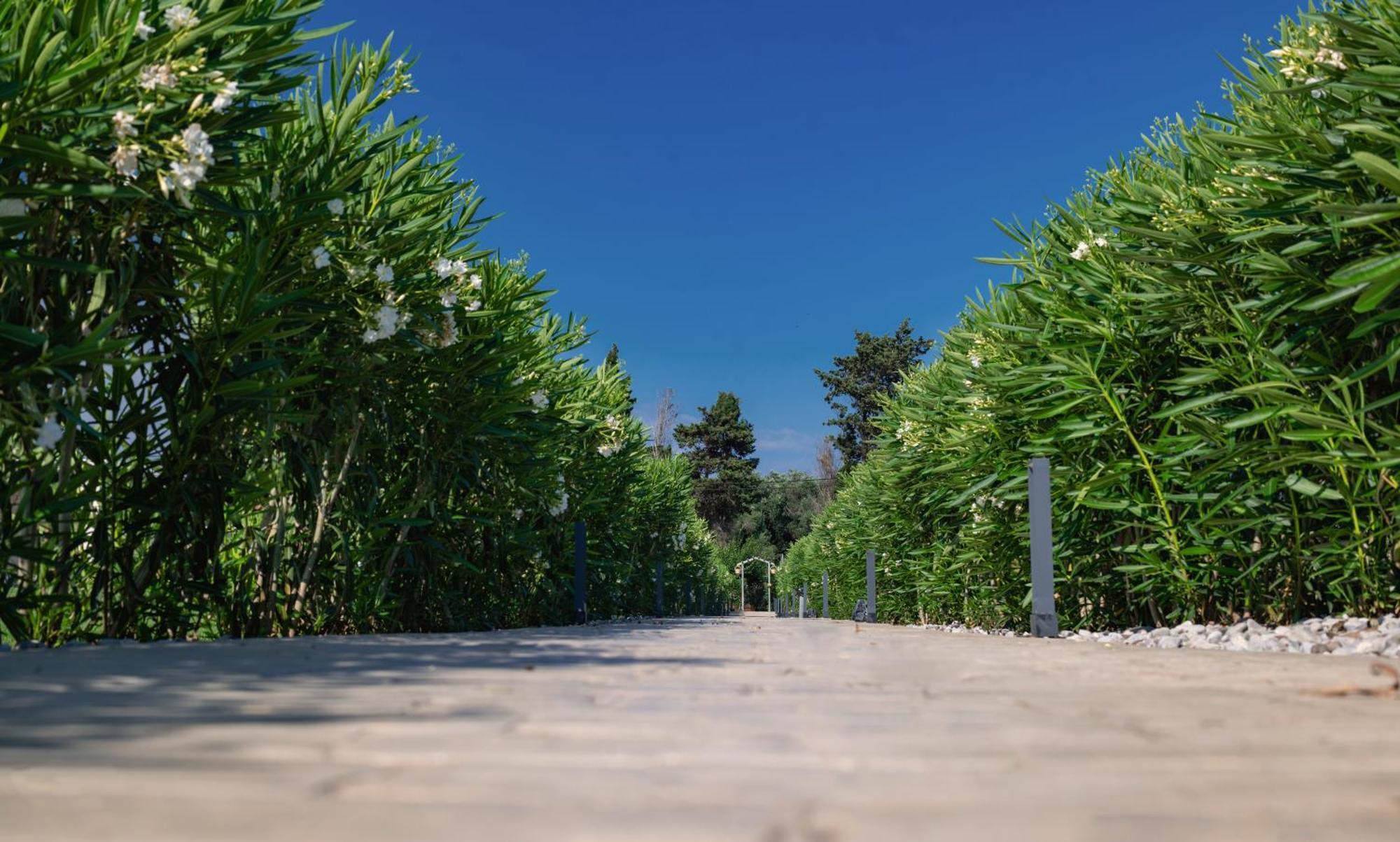 Theluxuryvillas プレベザ エクステリア 写真