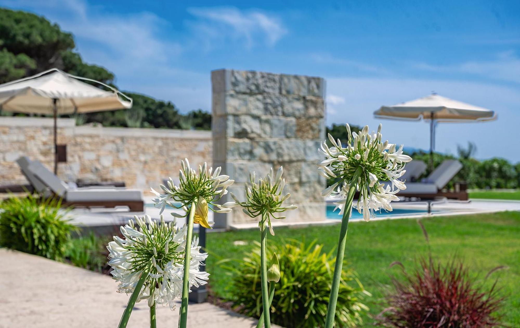 Theluxuryvillas プレベザ エクステリア 写真